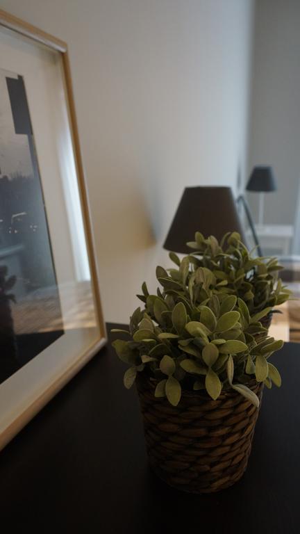 Apartament Gold Kraków
